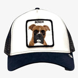 Goorin Bros כובע מצחייה Box It Up.