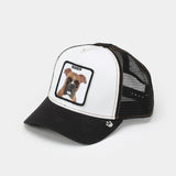 Goorin Bros כובע מצחייה Box It Up.