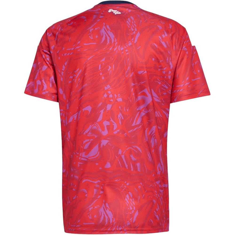 חולצת משחק קוסטה ריקה בית - מונדיאל 2026