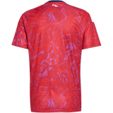 חולצת משחק קוסטה ריקה בית - מונדיאל 2026